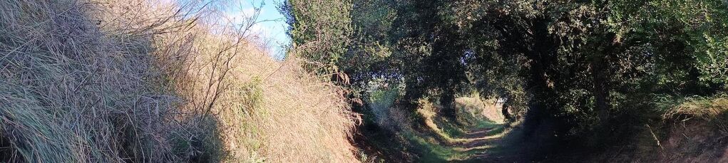 L’EMPORDANET (Rupià, Foixà, Ultramort i Parlavà)