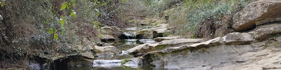 SORTIDA A LES GAVARRES - RUTA CIRCULAR. Quart – El Celrè – Gavarres - Quart