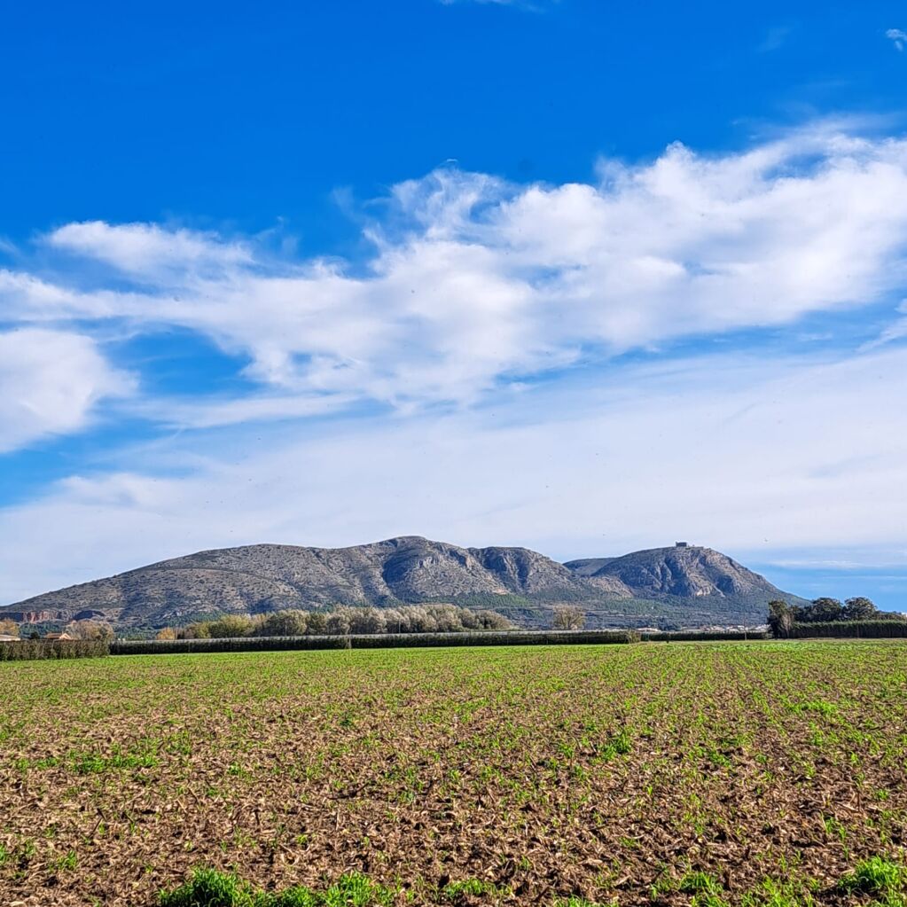 11ª ETAPA: COLOMERS- TORROELLA DE MONTGRÍ