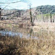 RUTA DEL TER: 8ª ETAPA.  EL PASTERAL - BESCANO