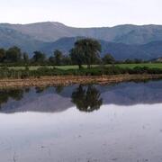 RUTA MEGALÍTICA I DELS ESTANYS DE LA JONQUERA