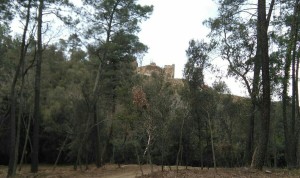 castell de Palagret-1